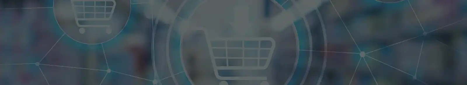 SEO ECommerce Services