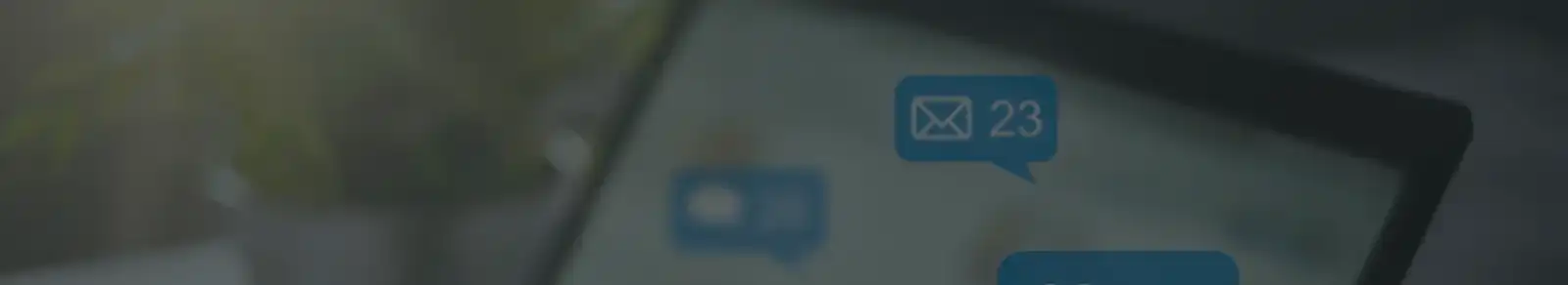 Social Media Management
